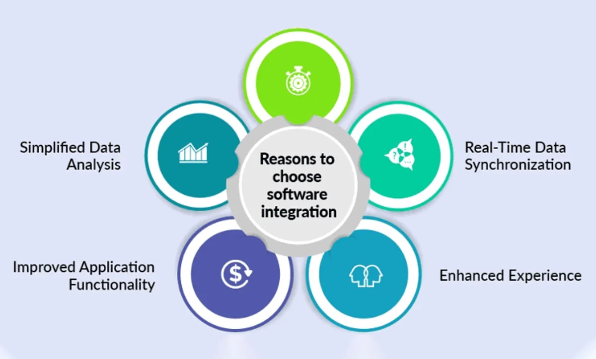 custom software integration for businesses